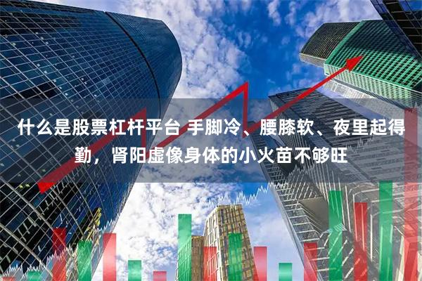什么是股票杠杆平台 手脚冷、腰膝软、夜里起得勤，肾阳虚像身体的小火苗不够旺