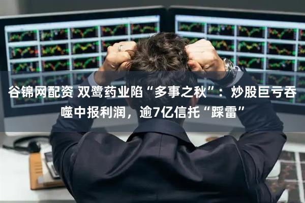 谷锦网配资 双鹭药业陷“多事之秋”：炒股巨亏吞噬中报利润，逾7亿信托“踩雷”