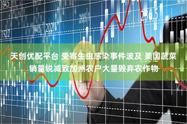 天创优配平台 受寄生虫感染事件波及 美国蔬菜销量锐减致加州农户大量毁弃农作物